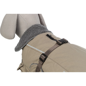 Vêtements pour animaux Arena Rouen Shelter S 38 cm - Product Image 4