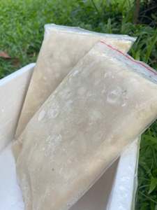 Pulpe de corossol congelée du Vietnam, fruit entier naturel pour desserts, smoothies, jus, boissons, cocktails, restauration, vente en gros et au détail - Product Image 4