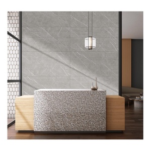 Azulejos de porcelana de 600x1200mm para pared y suelo, acabado mate, azulejos de gran tamaño, venta al por mayor, fabricante de azulejos de cerámica India - Product Image 3