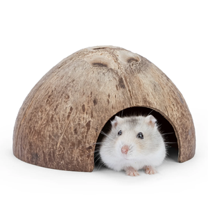 Maisonnette pour animaux de compagnie en coquille de noix de coco naturelle fabriquée au Vietnam – Accessoire durable et écologique pour hamsters, reptiles et oiseaux - Product Image 3