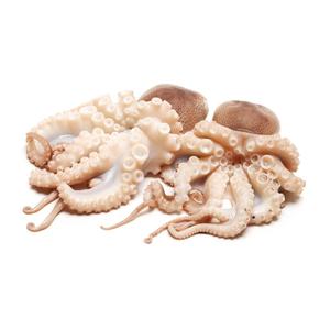 Poulpe frais disponible pour les besoins de transformation des produits de la mer à des fins commerciales - Product Image 1