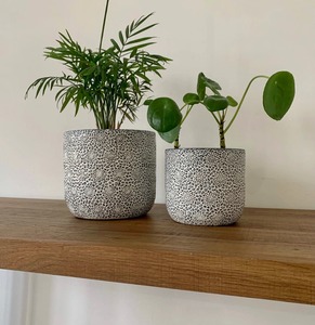 Maceta de cerámica con diseño floral, color blanco, perfecta para decoración de suelo de sala de estar, exhibición de plantas de interior y como regalo, procedente de la India. - Product Image 1