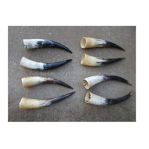 Corne en forme de cercueil naturel, 1 paire de haute qualité, Design ancien, paire de bulbes naturels, 3 paires - Product Image 3