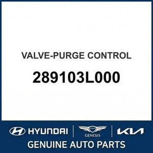 Nouvelles pièces et accessoires automobiles et pour camions Accent 289103L000 - Product Image 1
