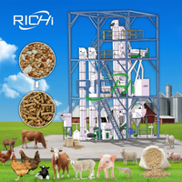 Ligne de production de machine à granulés d'aliments pour animaux RICHI 20 T/H pour bétail, volailles et poulets avec certification CE