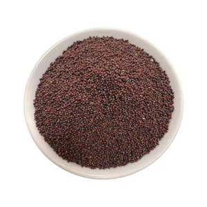 Graines de moutarde de qualité supérieure en gros, vente en vrac, qualité alimentaire, stock disponible, meilleure qualité pour l'exportation - Product Image 3