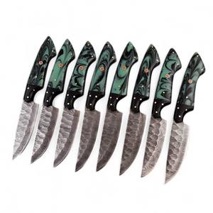 Couteau de table UA Supplies, forgé à la main, en acier Damas professionnel, manche ergonomique ambidextre, 4,5 pouces, design moderne, usage quotidien - Product Image 1