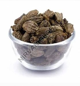 Grands gousses de cardamome noire de qualité supérieure pour applications culinaires, provenant d'un fournisseur indien au meilleur prix. - Product Image 3