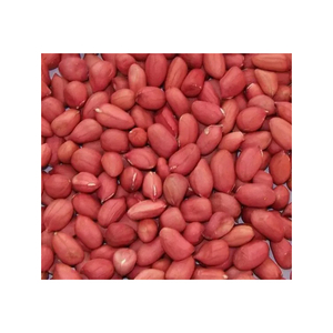 Arachides en gros, approvisionnement en vrac, prix abordable, noix de qualité supérieure - Product Image 5