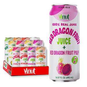 Sabores de variedad de jugo de frutas y verduras sin azúcar de 490ml de Vietnam con precio de fábrica de pulpa OEM/ODM Etiqueta Privada - Product Image 1
