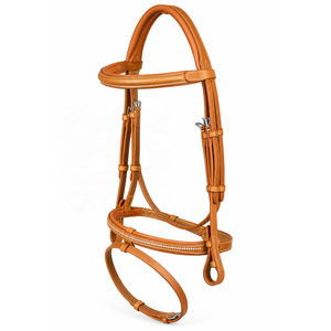 Bridon de cheval en cuir tanné de qualité supérieure avec muserolle décorée de clous, sangles réglables et quincaillerie argentée - Product Image 1