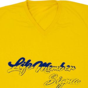 เสื้อยืดเชนิลล์ปักตัวอักษร Sigma Gamma Rho Gold Life Member แขนสั้น คอกลม สำหรับผู้หญิง เสื้อทีเชิร์ตชมรมนักศึกษา ปักลายตามสั่ง ขายส่ง - Product Image 3
