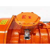 220V 6mm Vibrationsmotor 0.75KW AC Industrievibrator Sieb Elektrischer Vibrationsmotor Hersteller Aus China