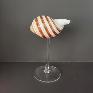 Ensemble cadeau unique de verres à champagne avec coquillages marins, verre à vin en forme de coquille marine, best-seller - Product Image 4