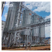 Silos para Granos de Café de Capacidad Personalizada - Acero Galvanizado en Caliente de Grado Profesional, Buena Hermeticidad, Monitoreo PLC SIMENS, EPC Llave en Mano