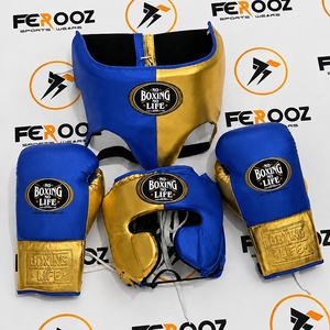Hot Selling Custom Made No Boxing No Life Sparring Set Youth Head Groin Protective Gym Training Gear Arts Neavy Blue Color Set - Product Image 2
