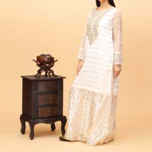 2 piezas adornadas Organza Zari Suit PS4229 para Club Dress-Up - Product Image 2