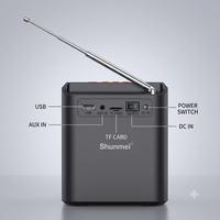 Altavoz Portátil LN-5316MINI con Soporte para Teléfono, Perillas de Precisión, Antena Telescópica, Radio FM, Bajos Potentes, Venta al Por Mayor