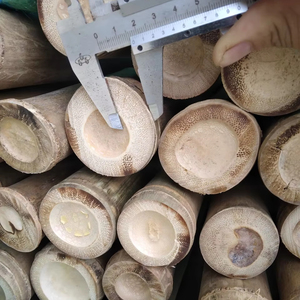 โรงงานเวียดนามจำหน่ายเสาไม้ไผ่สำหรับพยุงต้นไม้ในสวน ผู้จัดจำหน่ายส่งออกจำนวนมาก - Product Image 1