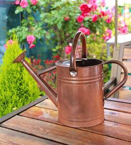Vintage Galvanized Steel Watering Can for Outdoor Plants Gallon Metal Copper Finish Gardening Watering Can with Long Spout - Product Image 4