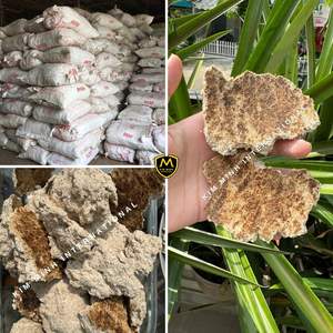 Tortitas de Copra de Alta Calidad para Alimentación Animal - Product Image 4