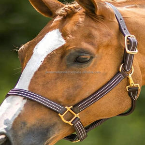 Construction triple couture double pli dos nu en cuir anglais marron havane et noir avec quincaillerie en laiton réglable solide - Product Image 1