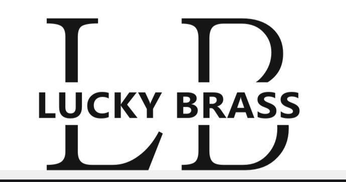 LUCKY BRASS PRIVATE LIMITED logo