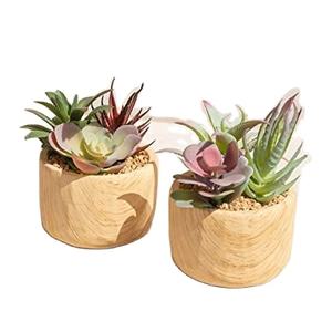 กระถางดอกไม้ไม้ในหมู่บ้านหวังว่าจะปลูกต้นไม้หลังบ้านของตกแต่งสวนกระถางต้นไม้เปลือกเฟอร์สำหรับสวน - Product Image 1