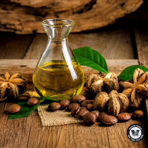 Aceite de Sacha Inchi de Origen Vietnamita, Aceite de Inca Inchi Premium de Grado Alimenticio para Aplicaciones Culinarias y Ensaladas, a Granel 5L 20L - Product Image 3
