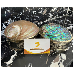 BEST WHITE Mother of Pearl Real Touch Polished DIY Silver Inlaid New Luxury Jewelry Box - CARYLN - Product Image 5