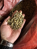 Café en Grains Entiers Arabica Lavé et Transformé, Meilleure Vente en Gros, Fleurs d'Agrumes Dalakon Da Sar 1kg, Torréfaction Premium Style Italien