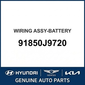 Nouvelles batteries Kona 91850J9720 - Product Image 1