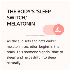 เยลลี่ลูกพีชมังสวิรัติแบบเกาหลีพร้อมผลิตภัณฑ์เสริมเมลาโทนินจากพืช - Product Image 4