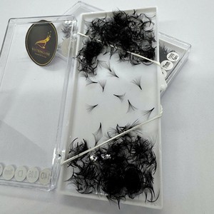Extensions de cils CC/D/DD/M/L Curl 10D-20D, éventails préfabriqués faits à la main, volume intense, cheveux synthétiques doux, aspect naturel, noir mat - Product Image 1