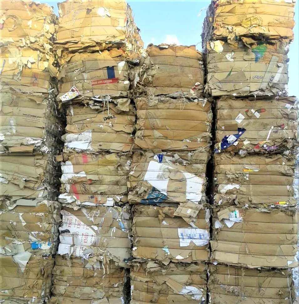 OCC/Old Corrugated Carton/Paper Scraps/Old Corrugated Board Scraps!