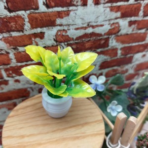 Plante en pot miniature pour maison de poupée 1:12, accessoire de paysage en plastique, modèle jaune-vert, décoration pour les plus de 14 ans - Product Image 4