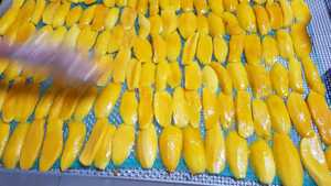 Mangues séchées tendres très demandées pour la transformation alimentaire, les snacks et la vente en gros – Origine Vietnam - Product Image 5