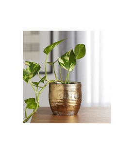 Modernist Metal Planter Decorative Flower Holder Elegant Indoor Outdoor Patio Garden Display Solution Premium Craftsmanship - Product Image 6