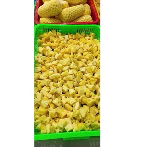 Ananas congelé en vrac du Vietnam (pour crème glacée, en tranches, en cubes, en purée) 100% naturel, cubes de haute qualité - Product Image 2