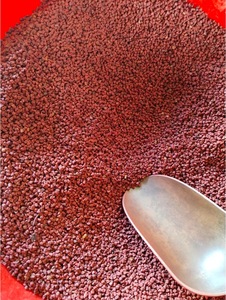 Fragrant Dried Annatto Seeds for Oil Extraction Marinade <b>Blends</b> and Food Service Preparation - Product Image 6
