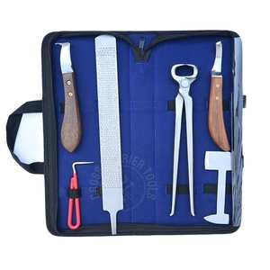 Kit d'outils de soin des sabots de cheval pour fermeurs avec couteau à sabots à lame détachable, râpe double face, manche en bois et polisseur en acier - Product Image 1