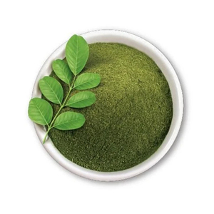 Polvo de índigo natural, colorante capilar puro a base de plantas, aplicaciones cosméticas y suministro a granel - Product Image 4