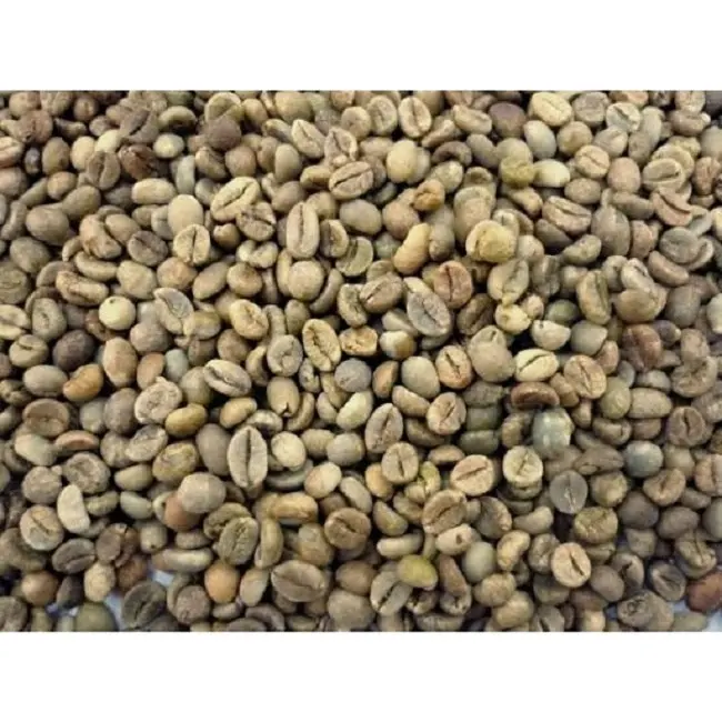 Caffè Robusta non trattato più venduto in Vietnam