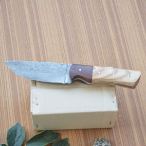Cuchillo Bowie de Cocina Fijo de Grado Industrial con Borde Dentado y Punta de Clip, Estilo Nuevo, OEM, Personalizable, de Acero Inoxidable, Mini Cuchillo de Bolsillo - Product Image 3