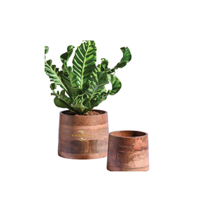 Pot de plante en bois naturel pour une vie éco-responsable, parfait pour les maisons modernes, les bureaux et les coins verts - Product Image 3