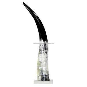 Cuerno de buey africano de par grande natural para decoración del hogar y accesorios Cuerno de vaca africano de cuerno vikingo para beber a la venta por FWE - Product Image 6