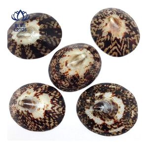 Vietnam Organic Material Eco-Friendly Oval Crushed Limpet Shells Handicrafts for Breastfeeding <b>Bra</b> Design <b>BLUE</b> LOTUS Souvenir - Product Image 1