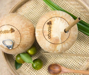 มะพร้าวอ่อนสดจากเวียดนาม ผลิตจากวัสดุเปลือกมะพร้าวธรรมชาติ สำหรับการบริการอาหารและการเตรียมเครื่องดื่ม - Product Image 2