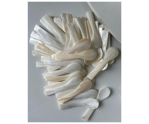 Vaisselle de luxe, cuillère en forme de coquillage conçue pour servir le caviar - Product Image 1