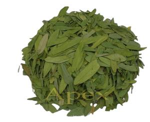 ใบมะขามแขก, ใบขี้เหล็ก angustifolia ใบ T-Cut, ผงใบมะขามีน, ผู้ส่งออกจำนวนมากของอินเดีย, สมุนไพรยาระบายธรรมชาติ - Product Image 1